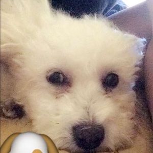 Meet your Posher, Tara