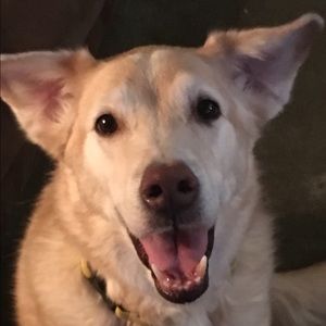 Meet your Posher, Sheri