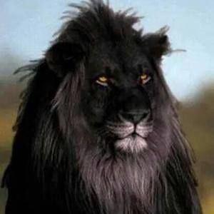 Meet your Posher, Deanna