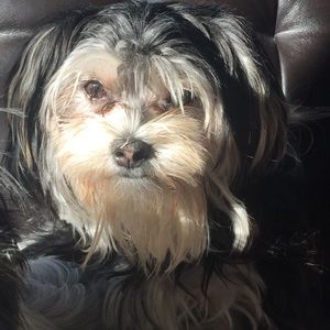 Meet your Posher, Cheryl