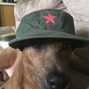 Meet your Posher, Andres