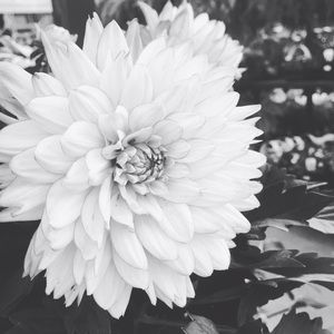 Meet your Posher, Baylee