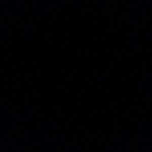 Meet your Posher, Darius