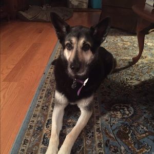 Meet your Posher, Nicole