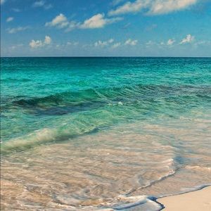 Meet your Posher, Margo