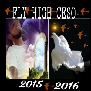 Meet your Posher, Flyhigh