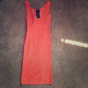 Bebe bodycon dress
