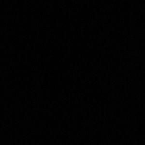 Meet your Posher, Lexi