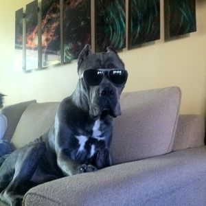 Meet your Posher, Taylor