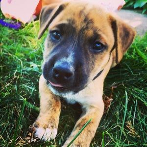 Meet your Posher, Christa