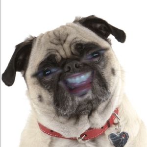 Meet your Posher, Jesse