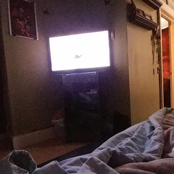 Meet your Posher, Ricky - Picture 1 of 1