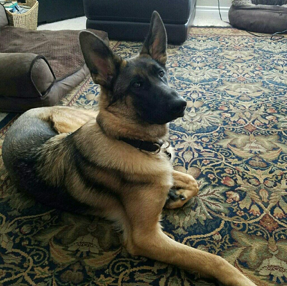 Meet your Posher, Cari