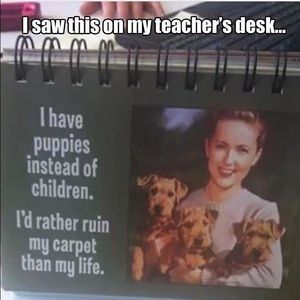 Meet your Posher, Joan