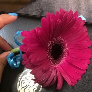 Meet your Posher, Bianca