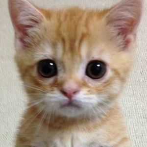 Meet your Posher, Miyoung