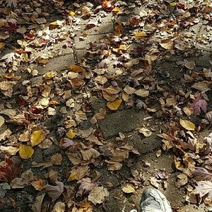 Meet your Posher, Marylu