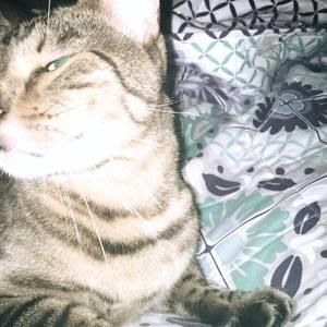 Meet your Posher, Kayleigh