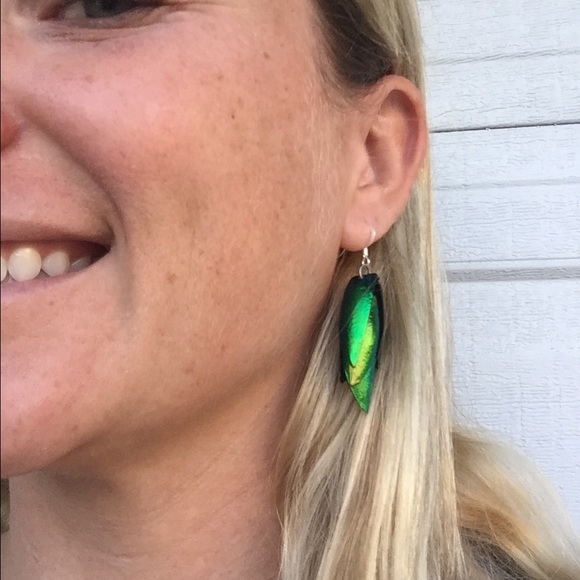 Real Beetle Wing Earrings - Picture 2 of 2