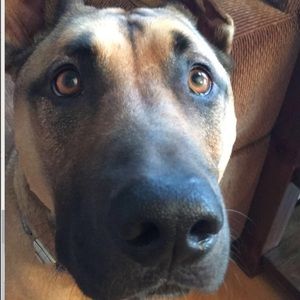 Meet your Posher, Anna