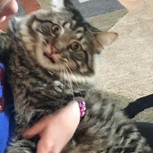 Meet your Posher, Amanda