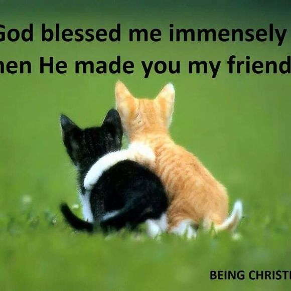 Meet your Posher, Lynne - Picture 1 of 1