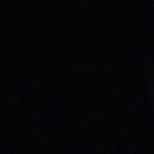 Meet your Posher, Dennis