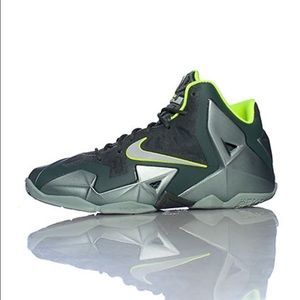 Lebron Nike sneakers