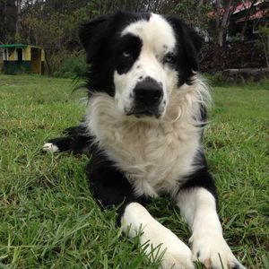 Meet your Posher, Kris