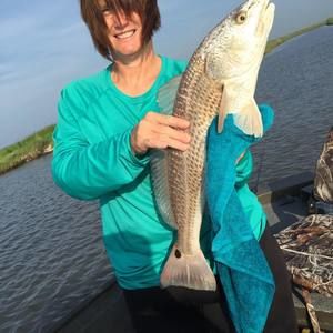 Meet your Posher, Kelly