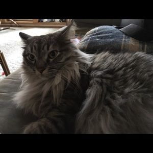 Meet your Posher, Bethany