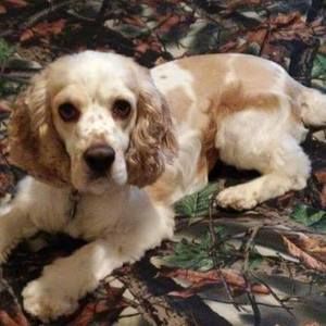 Meet your Posher, Kelli jo