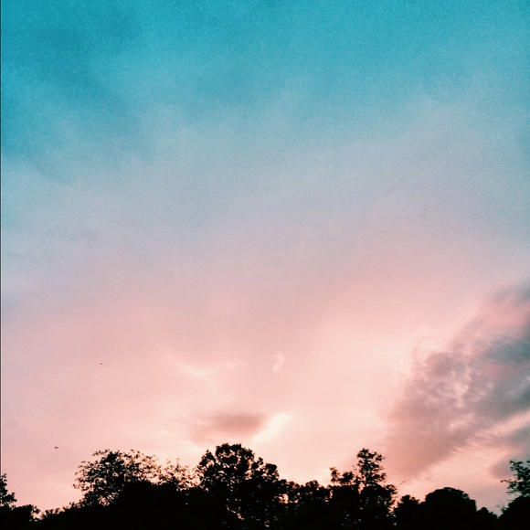 Meet your Posher, Luna - Picture 1 of 1