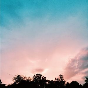 Meet your Posher, Luna