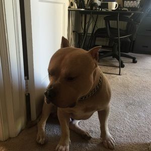 Meet your Posher, Rosa