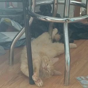 Meet your Posher, Mariah