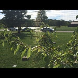 Meet your Posher, Meghan