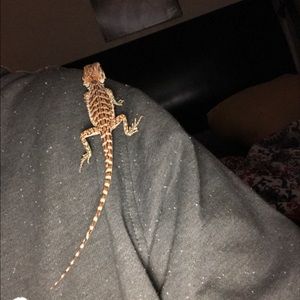 Meet your Posher, Nicks