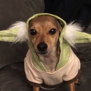 Meet your Posher, Jill