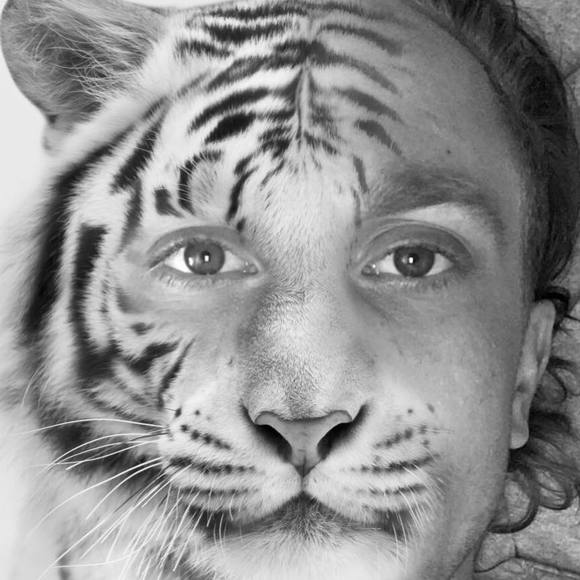 Meet your Posher, Hunter - Picture 2 of 2