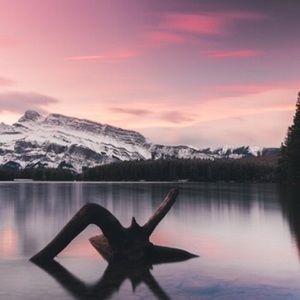 Meet your Posher, Diana