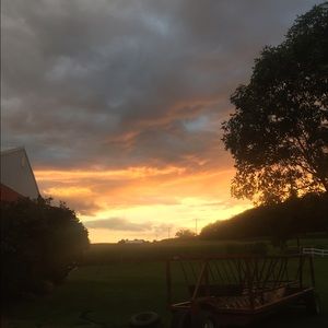 Meet your Posher, Sandria