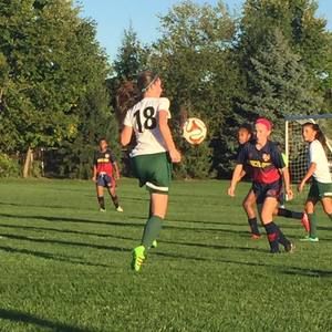 Meet your Posher, Molly