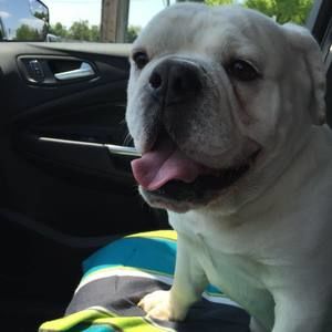 Meet your Posher, Christina