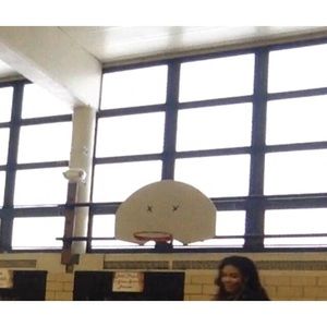 Meet your Posher, Robin