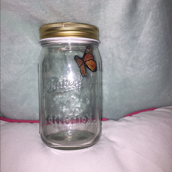 Butterfly in a jar