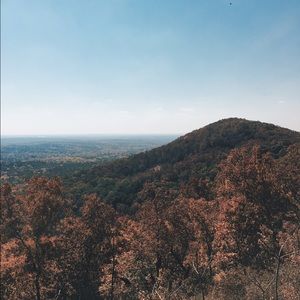 Meet your Posher, Louise