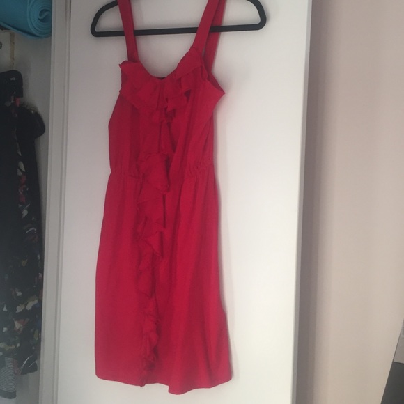 Express Dress - Picture 3 of 4