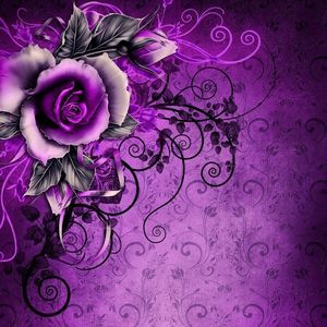 Meet your Posher, Kathleen