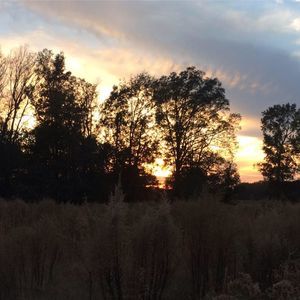 Meet your Posher, Ying